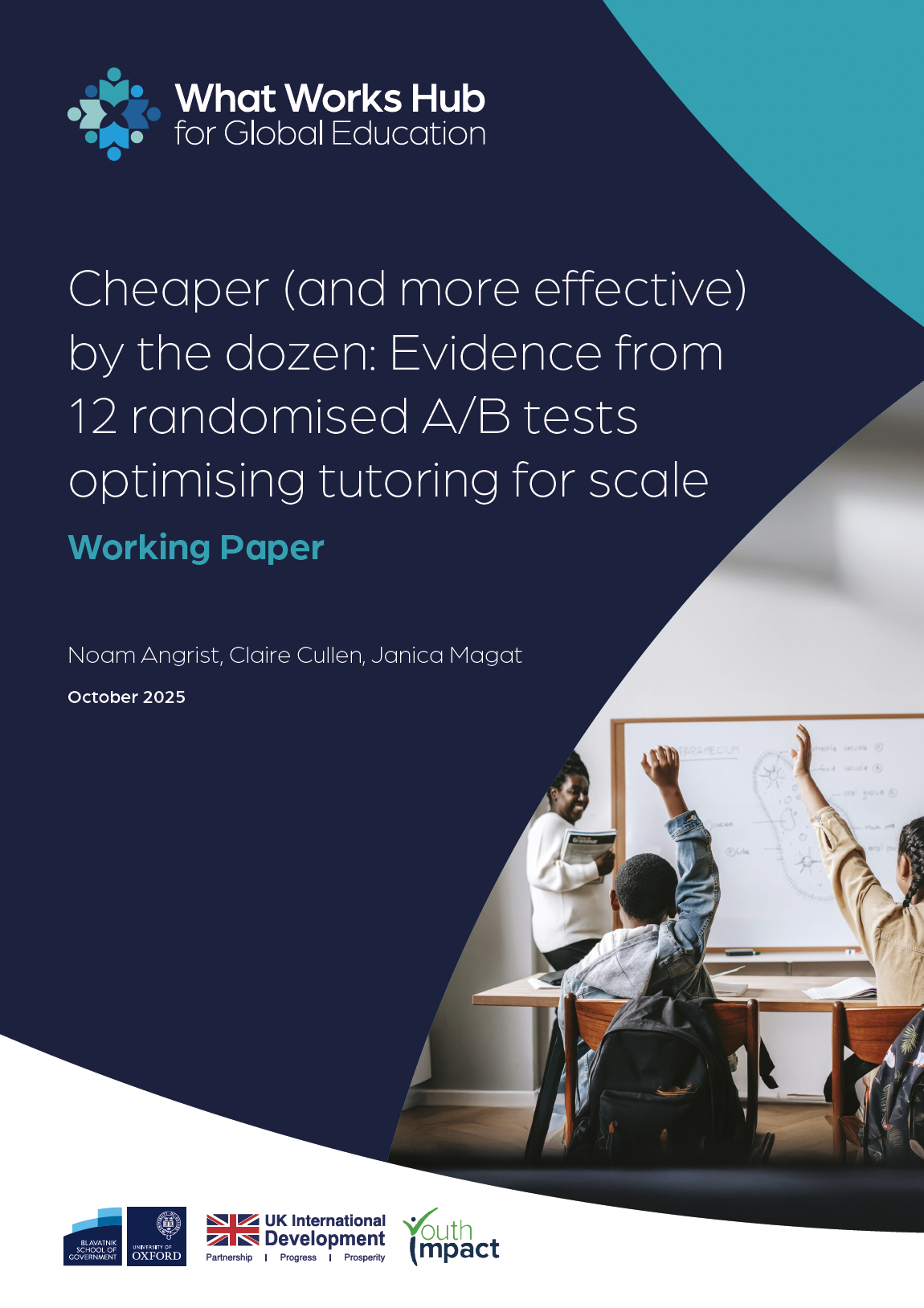 Cheaper (and more effective) by the dozen: Evidence from 12 randomised ...