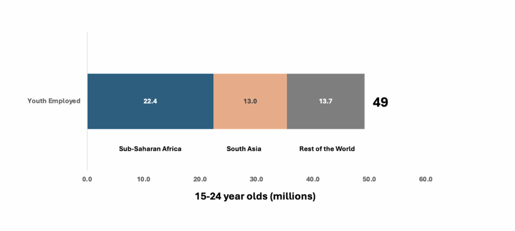 Horizontal bar chart showing 49 million youth employed, with 22.4 million from Sub-Saharan Africa, 13 million from South Asia and 13.7 million from the rest of the world.