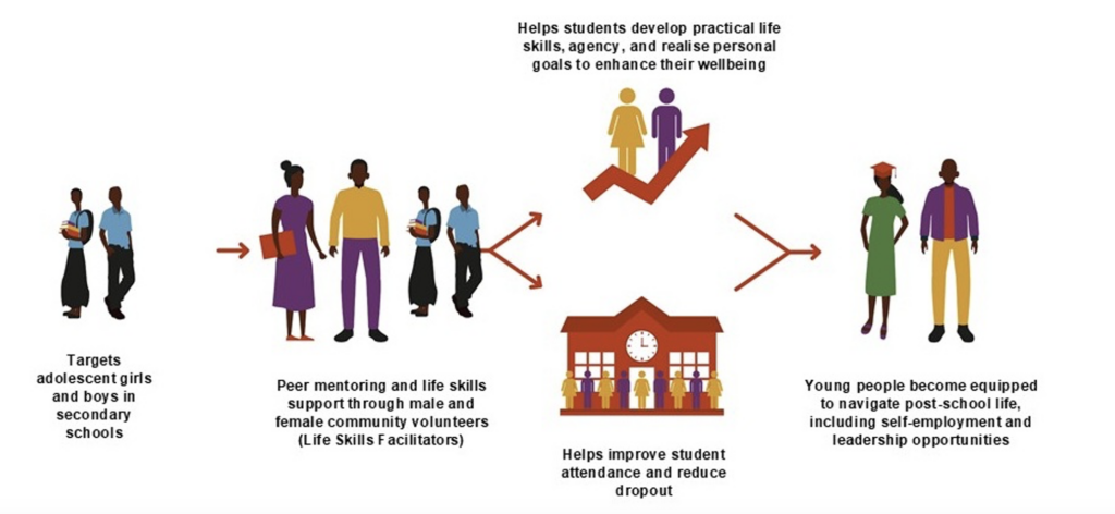 Graphic showing a sequence of events: "Targets adolescent girls and boys in secondary schools" leads to "Peer mentoring and life skills support through male and female community volunteers (Life Skills Facilitators)" which leads to "Helps students develop practical life skills, agency, and realise personal goals to enhance their wellbeing" and "helps improve student attendance and reduce dropout," both of which lead to "Young people become equipped to navigate post-school life, including self-employment and leadership opportunities"